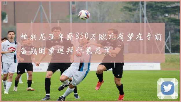 帕利尼亚年薪850万欧元有望在季前备战时重返拜仁慕尼黑